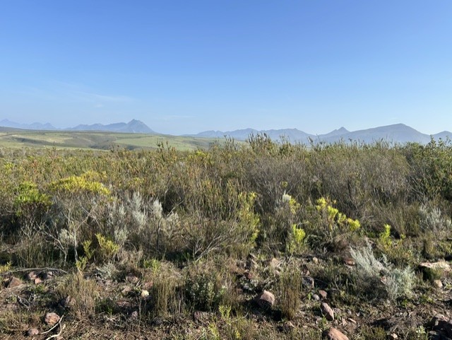 Commercial Property for Sale in Mossel Bay Rural Western Cape